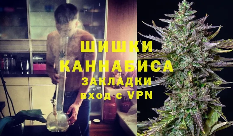 Бошки марихуана OG Kush  купить наркотик  ссылка на мегу рабочий сайт  Каменногорск 